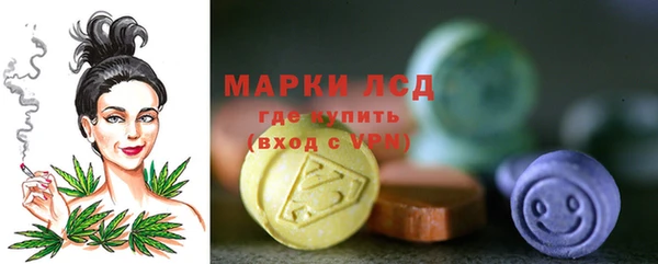 шишки Алзамай
