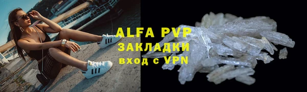 стаф Алексин