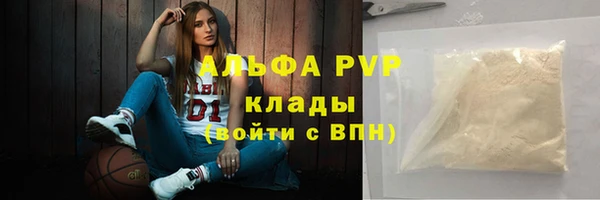 стаф Алексин