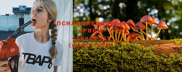 стаф Алексин