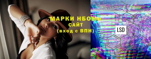 стаф Алексин