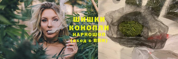 шишки Алзамай