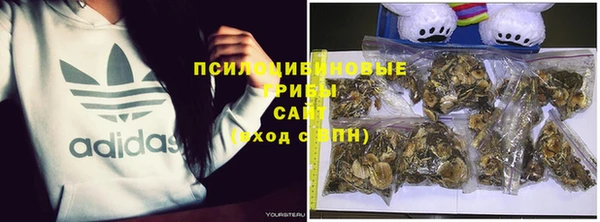 шишки Алзамай