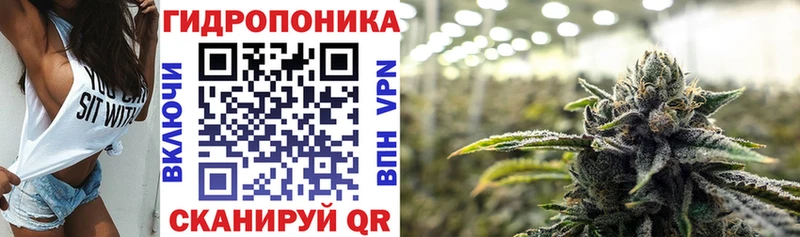 Бошки марихуана ГИДРОПОН  МЕГА ССЫЛКА  Данилов 